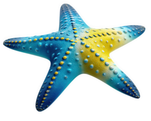 Bright starfish shaped beach toy with textured surface, featuring vibrant blue and yellow colors. This unique design adds fun to beach activities and is perfect for children