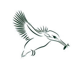 vector illustration of a bird