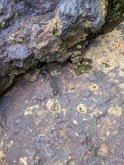 old stone wall