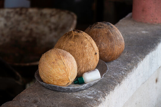 Cocos sobre a mureta