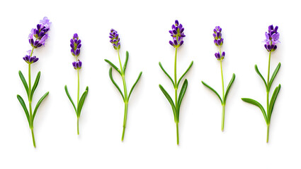 Person interacting with a chatbot on a laptop displaying digital conversation bubbles and artificial intelligence technology