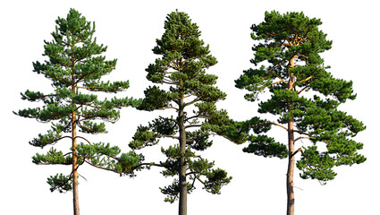 Cloud computing and data security concept illustrated with hand pointing at secure cloud storage symbols on blue background