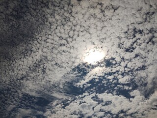 東京のそら(25.6.4)