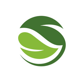 vector illustration of an apple