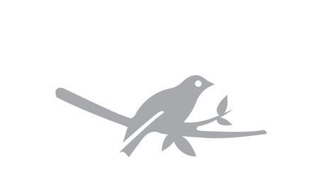vector illustration of a bird