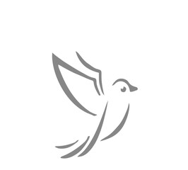 vector image of an eagle