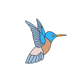 hummingbird and flower