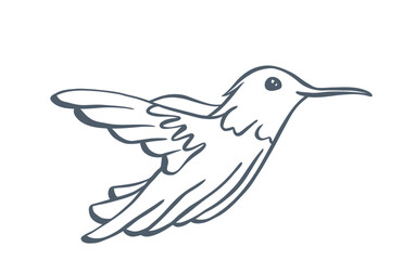 white dove isolated on white