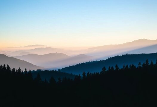Misty alpine mountain range layered landscape, silhouetted forest banner ,  hills,  artwork