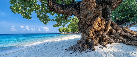Fototapeta premium Ancient tree's roots embrace tranquil beach, azure waters shimmer under sunny skies