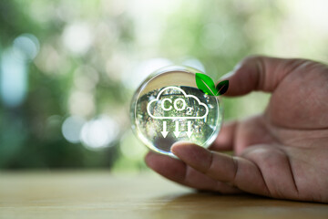 Hand holding globe with carbon neutral and net zero,save planet in Hands, Save the world, save environment, CO2 emission reduction carbon, REC,green technology and ESG