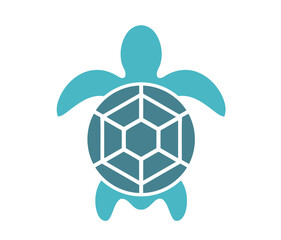 Obraz premium soccer ball vector