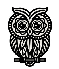 owl on white background