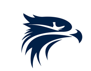 Obraz premium head of a eagle