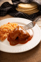 Pipian with Chicken, food from Mexico and other Latin American countries, chicken meat bathed in mole sauce made with pumpkin seeds, dried chili peppers and several other ingredients.