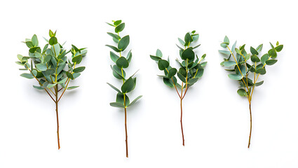 Magnifying glass exploring digital security and data privacy concepts over a modern blue background of hexagon icons