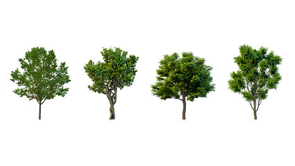 Person working on laptop with gear icon hologram overlay representing technology digitalization and software solutions