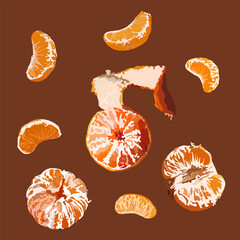 Set of tangerines fruits. Collection of decorative hand drawn elements. Peeled and tangerines, vector illustration