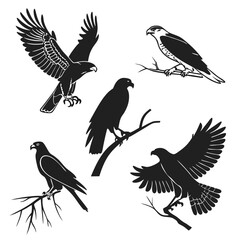 Vector illustration of various birds of prey silhouettes with wings spread or perched