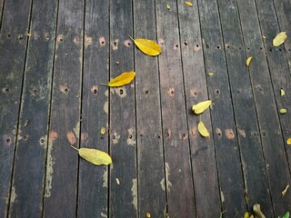 leaves fall on wooden floor, Wooden textured surface with natural leaves background