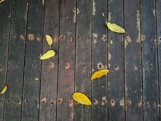 leaves fall on wooden floor, Wooden textured surface with natural leaves background