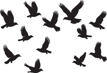 Obraz premium silhouettes of birds