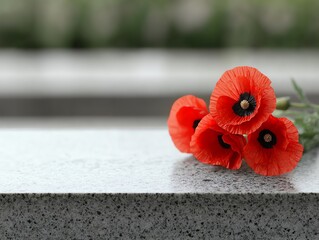 Symbolic red poppy flowers placed on a military grave, tribute to fallen heroes