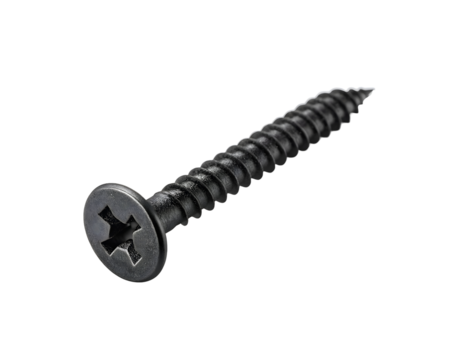 black screw with Phillips head closeup