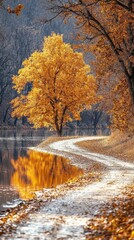 Scenic autumn landscape with vibrant yellow tree beside a winding dirt path along a calm river with reflection and dark forest background du fall season