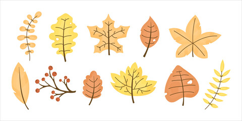 Obraz premium Set of autumn leaves. Autumn foliage.