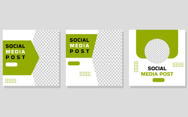 Three social media post templates with a green and white color scheme.