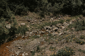 little stream on the rocks