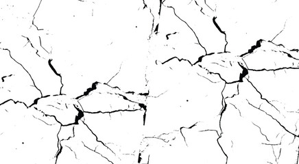 Abstract vector grunge crack texture with distressed black lines on white background. Cracked texture image. Vector illustration.