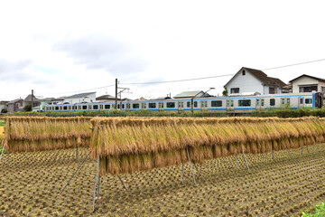 寒川の稲刈り後の相模線沿いの田んぼ
