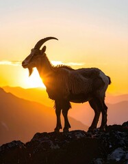 Majestic ibex stands silhouetted on a rocky peak against a vibrant sunset in the Alps, embodying resilience and the beauty of wildlife at high altitudes.