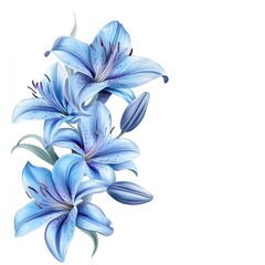 A delicate border of blue lilies in motion.
