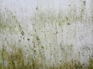 green wall texture
