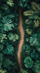 Lush tropical jungle with large green leaves and a narrow winding dirt path surrounded by dense foliage and vibrant plant life for nature exploration