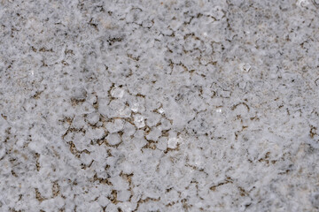 Haloclasty (also called salt weathering) is a type of physical weathering caused by the growth and thermal expansion of salt crystals. Tafoni / Beachrock. Ko Olina Beach Park Honolulu Oahu Hawaii