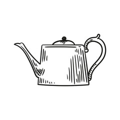 Illustration of an antique teapot, hand-drawn in ink. Original teapot drawings. Line art.