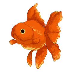 Goldfish