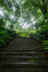 Obraz premium 鎌倉2506 妙本寺2 二天門