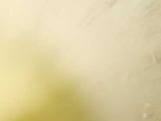 blured background, close up photo of Calliandra portoricensis blooming.