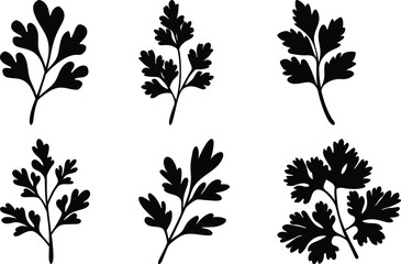 A collection of stylized parsley sprigs in black silhouette against white backdrop