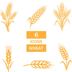 set of golden wheat vector icon illustration 
