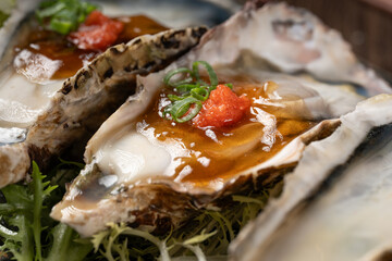 Japanese cuisine - Hyogo Prefecture Oyster Sashimi and Sake-Steamed Oysters
