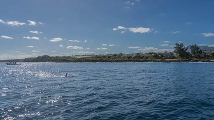 The blue ocean. The dorsal fin and back of a dolphin are visible above the water. The boat is far away. Glare, ripples on the surface. There are green vegetation buildings on the shore of the island.