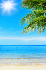 Sea beach, paradise tropical island landscape, green coconut palm tree leaves, clear water, turquoise ocean, white sand, blue sunny sky, summer holiday, vacation, travel, Caribbean, Thailand, Maldives