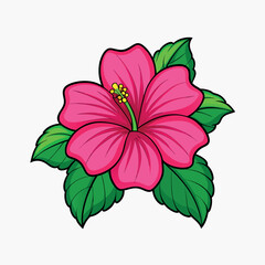 pink hibiscus flower © Sohag Akunda
