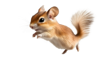 Adorable jerboa running gracefully isolated against a dark showing its soft fur and big eyes isolated on white transparent background PNG cutout